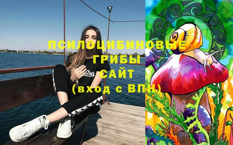 Псилоцибиновые грибы Cubensis  Арск 